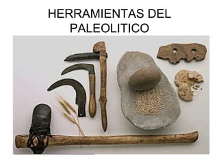 HERRAMIENTAS DEL
   PALEOLITICO
 