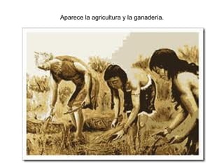 Aparece la agricultura y la ganadería.
 