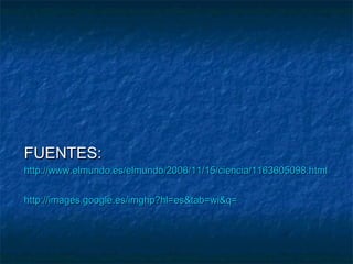 FUENTES:
http://www.elmundo.es/elmundo/2006/11/15/ciencia/1163605098.html


http://images.google.es/imghp?hl=es&tab=wi&q=
 