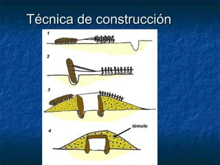 Técnica de construcción
 