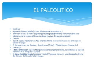 EL PALEOLITICO


En África
-Aparece el Homo habilis (primer fabricante de herramientas )
-Entra en escena el homo ergaster (procede probablemente de Homo habilis y es
básicamente la versión africana de Homo erectus, del que es antecesor
En Asia
-Los H. erectus habitaron en Asia oriental (China, Indonesia) fueron los primeros en
utilizar el fuego
El Homo erectus fue llamado : Sinantropus (China) y Pitecantropus (Indonesia )
En Europa
: Homo antecessor, especie fósil perteneciente al género Homo. Considerada la especie
homínida más antigua de Europa
El Homo heidelbergensis (apodado "Goliath") género Homo, Es un antepasado directo
del Hombre de Neandertal en Europa
 