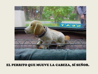 EL PERRITO QUE MUEVE LA CABEZA, SÍ SEÑOR.
 