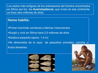 Los restos más antiguos de los antecesores del hombre encontrados
en África son los los Australopitecos, que vivían en ese continente
ya hace seis millones de años.

Homo habilis:
Primer homínido comienza a fabricar instrumentos

Surgió y vivió en África hace 2,5 millones de años
Estatura pequeña (aprox. 1,4 m)
Se alimentaba de la caza
frutos silvestres.

de pequeños animales, carroña y

 