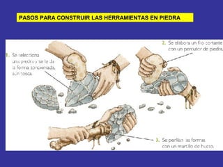 PASOS PARA CONSTRUIR LAS HERRAMIENTAS EN PIEDRA

 