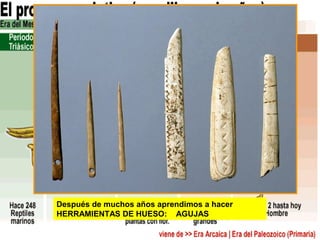 Después de muchos años aprendimos a hacer
HERRAMIENTAS DE HUESO: AGUJAS

 