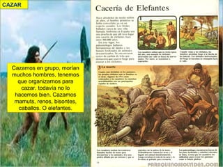 CAZAR

Cazamos en grupo, morían
muchos hombres, tenemos
que organizarnos para
cazar. todavía no lo
hacemos bien. Cazamos
mamuts, renos, bisontes,
caballos. O elefantes.

 