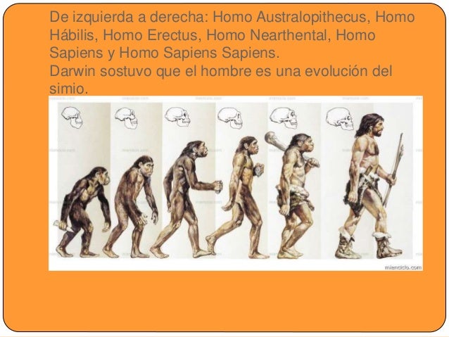 La Prehistoria 5 Primaria