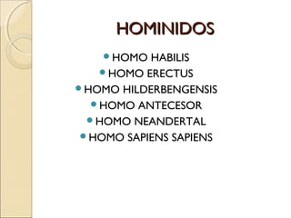 HOMINIDOSHOMINIDOS
HOMO HABILIS
HOMO ERECTUS
HOMO HILDERBENGENSIS
HOMO ANTECESOR
HOMO NEANDERTAL
HOMO SAPIENS SAPIENS
 
