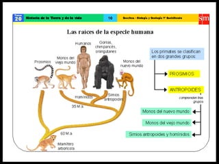 La pre