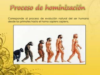 Corresponde al proceso de evolución natural del ser humano
desde los primates hasta el homo sapiens sapiens.
 