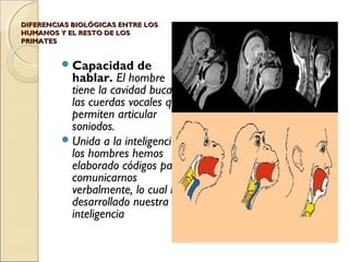 DIFERENCIAS BIOLÓGICAS ENTRE LOSDIFERENCIAS BIOLÓGICAS ENTRE LOS
HUMANOS Y EL RESTO DE LOSHUMANOS Y EL RESTO DE LOS
PRIMATESPRIMATES
Capacidad de
hablar. El hombre
tiene la cavidad bucal y
las cuerdas vocales que
permiten articular
soniodos.
Unida a la inteligencia
los hombres hemos
elaborado códigos para
comunicarnos
verbalmente, lo cual ha
desarrollado nuestra
inteligencia
 