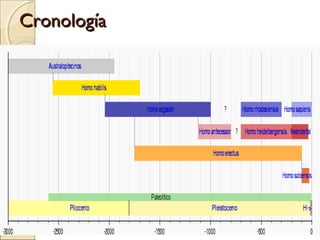 CronologíaCronología
 