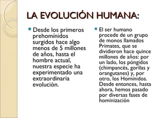 LA EVOLUCIÓN HUMANA:LA EVOLUCIÓN HUMANA:
Desde los primeros
prehomínidos
surgidos hace algo
menos de 5 millones
de años, hasta el
hombre actual,
nuestra especie ha
experimentado una
extraordinaria
evolución.
El ser humano
procede de un grupo
de monos llamados
Primates, que se
dividieron hace quince
millones de años: por
un lado, los póngidos
(chimpancés, gorilas y
orangutanes) y, por
otro, los Homínidos.
Desde entonces, hasta
ahora, hemos pasado
por diversas fases de
hominización
 