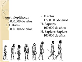 Australopithecus
5.000.000 de años
H. Hábiles
3.000.000 de años
H. Erectus
1.500.000 de años
H. Sapiens
100.000 de años
H. Sapiens-Sapiens
100.000 de años
 