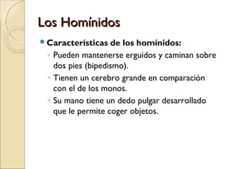 Los HomínidosLos Homínidos
Características de los homínidos:
◦ Pueden mantenerse erguidos y caminan sobre
dos pies (bipedismo).
◦ Tienen un cerebro grande en comparación
con el de los monos.
◦ Su mano tiene un dedo pulgar desarrollado
que le permite coger objetos.
 