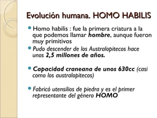 Evolución humana. HOMO HABILISEvolución humana. HOMO HABILIS
Homo habilis : fue la primera criatura a la
que podemos llamar hombre, aunque fueron
muy primitivos
Pudo descender de los Australopitecos hace
unos 2,5 millones de años.
Capacidad craneana de unos 630cc (casi
como los australopitecos)
Fabricó utensilios de piedra y es el primer
representante del género HOMO
 