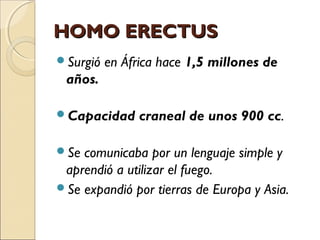 HOMO ERECTUSHOMO ERECTUS
Surgió en África hace 1,5 millones de
años.
Capacidad craneal de unos 900 cc.
Se comunicaba por un lenguaje simple y
aprendió a utilizar el fuego.
Se expandió por tierras de Europa y Asia.
 