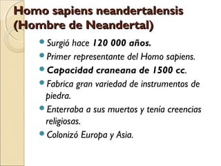 Homo sapiens neandertalensisHomo sapiens neandertalensis
(Hombre de Neandertal)(Hombre de Neandertal)
Surgió hace 120 000 años.
Primer representante del Homo sapiens.
Capacidad craneana de 1500 cc.
Fabrica gran variedad de instrumentos de
piedra.
Enterraba a sus muertos y tenía creencias
religiosas.
Colonizó Europa y Asia.
 