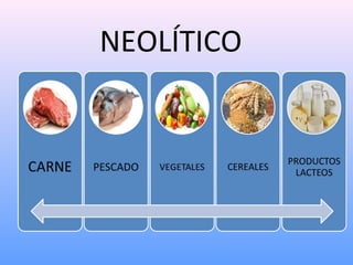 NEOLÍTICO
 