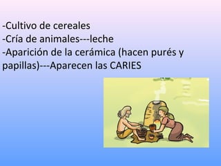 -Cultivo de cereales
-Cría de animales---leche
-Aparición de la cerámica (hacen purés y
papillas)---Aparecen las CARIES
 