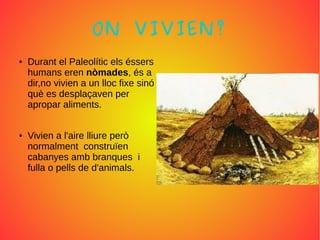 ON VIVIEN?
● Durant el Paleolític els éssers
humans eren nòmades, és a
dir,no vivien a un lloc fixe sinó
què es desplaçaven per
apropar aliments.
● Vivien a l'aire lliure però
normalment construïen
cabanyes amb branques i
fulla o pells de d'animals.
 
