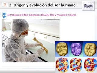 09
El trabajo científico: obtención del ADN fósil y muestras molares
2. Origen y evolución del ser humano
 