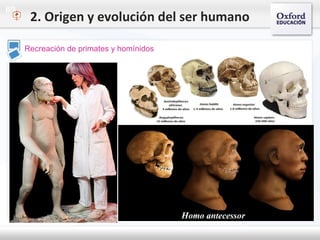 09
Recreación de primates y homínidos
2. Origen y evolución del ser humano
 