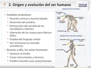2. Origen y evolución del ser humano
– Cambios evolutivos:
 Posición vertical y marcha bípeda.
 Desarrollo del cerebro.
 Disminución del tamaño de las
mandíbulas y dientes.
 Liberación de las manos para fabricar
útiles.
 Empleo del lenguaje verbal.
 Son omnívoros (a menudo
carroñeros).
– Gracias a ello, los seres humanos:
 Conocen el medio.
 Crean instrumentos y técnicas.
 Pueden trasmitir esos conocimientos.
 