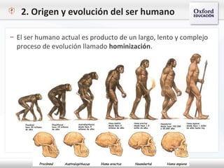 2. Origen y evolución del ser humano
– El ser humano actual es producto de un largo, lento y complejo
proceso de evolución llamado hominización.
 