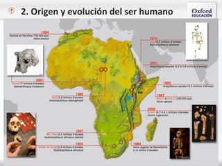 2. Origen y evolución del ser humano
 