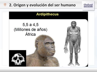2. Origen y evolución del ser humano
 