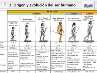 2. Origen y evolución del ser humano
 