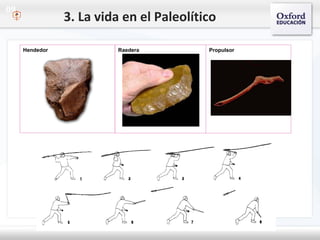 09
Hendedor Raedera Propulsor
3. La vida en el Paleolítico
 
