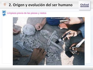 09
Limpieza previa de las piezas y restos
2. Origen y evolución del ser humano
 