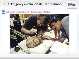 09
Extracción y reconstrucción de las piezas y fósiles
2. Origen y evolución del ser humano
 