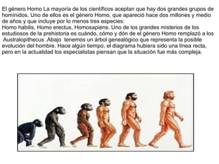 El género Homo La mayoría de los científicos aceptan que hay dos grandes grupos de
homínidos. Uno de ellos es el género Homo, que apareció hace dos millones y medio
de años y que incluye por lo menos tres especies:
Homo habilis, Homo erectus, Homosapiens. Uno de los grandes misterios de los
estudiosos de la prehistoria es cuándo, cómo y dón de el género Homo remplazó a los
Australopithecus .Abajo tenemos un árbol genealógico que representa la posible
evolución del hombre. Hace algún tiempo, el diagrama hubiera sido una línea recta,
pero en la actualidad los especialistas piensan que la situación fue más compleja.
 