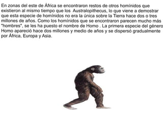 En zonas del este de África se encontraron restos de otros homínidos que
existieron al mismo tiempo que los Australopithecus, lo que viene a demostrar
que esta especie de homínidos no era la única sobre la Tierra hace dos o tres
millones de años. Como los homínidos que se encontraron parecen mucho más
"hombres", se les ha puesto el nombre de Homo . La primera especie del género
Homo apareció hace dos millones y medio de años y se dispersó gradualmente
por África, Europa y Asia.
 