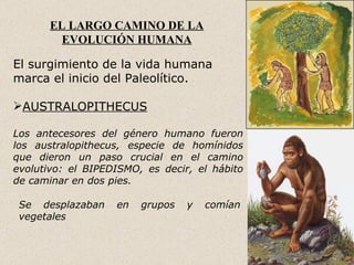 EL LARGO CAMINO DE LA
         EVOLUCIÓN HUMANA

El surgimiento de la vida humana
marca el inicio del Paleolítico.

AUSTRALOPITHECUS

Los antecesores del género humano fueron
los australopithecus, especie de homínidos
que dieron un paso crucial en el camino
evolutivo: el BIPEDISMO, es decir, el hábito
de caminar en dos pies.

 Se desplazaban    en   grupos   y   comían
 vegetales
 
