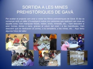 SORTIDA A LES MINES
PREHISTÒRIQUES DE GAVÀ
Per acabar el projecte vam anar a visitar les Mines prehistòriques de Gavà. El dia va
començar amb un taller d’investigació sobre cinc persones que realment van viure en
aquella zona. Vam manipular fòssils, restes, eines, minerals, etc… Vam descobrir si
eren homes, dones o nens, gràcies al volum del crani i a les mandíbules. Vam
descobrir que es dedicaven al conreu, a la ramaderia, a les mines, etc… Aquí teniu
algunes fotos del taller:
 