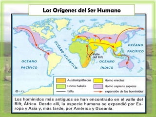 Los Orígenes del Ser Humano
 