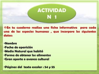 ACTIVIDAD
                          N 1
En tu cuaderno realiza una ficha informativa para cada
una de las especies humanas , que incorpore los siguientes
datos:

•Nombre
•Fecha de aparición
•Medio Natural que habitó
•Forma de obtener los alimentos
•Gran aporte o avance cultural

•Páginas del texto escolar : 54 y 55
 