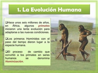 1. La Evolución Humana
Hace unos seis millones de años,
en     África,  algunos   primates
iniciaron una lenta evolución para
adaptarse a las nuevas condiciones.

Los primeros Homínidos con el
paso del tiempo dieron lugar a la
especie humana.

El proceso       de cambio que
convirtió a los primates en seres
humanos         se       denomina
Hominización.
 