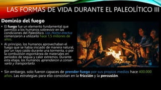 LAS FORMAS DE VIDA DURANTE EL PALEOLÍTICO III
Dominio del fuego
• El fuego fue un elemento fundamental que
permitió a los humanos sobrevivir en las
condiciones del Paleolítico. Los Homo erectus
comenzaron a utilizarlo hace 1,5 millones de
años.
• Al principio, los humanos aprovechaban el
fuego que se había iniciado de manera natural,
por un rayo caído durante una tormenta, o por
la combustión espontánea de materiales en
períodos de sequía y calor extremos. Durante
esta etapa, los humanos aprendieron a conser-
varlo y transportarlo.
• Sin embargo, solo fueron capaces de prender fuego por sus propios medios hace 400.000
años. Las estrategias para ello consistían en la fricción y la percusión.
 