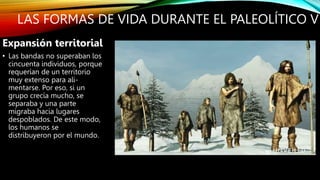 LAS FORMAS DE VIDA DURANTE EL PALEOLÍTICO V
Expansión territorial
• Las bandas no superaban los
cincuenta individuos, porque
requerían de un territorio
muy extenso para ali-
mentarse. Por eso, si un
grupo crecía mucho, se
separaba y una parte
migraba hacia lugares
despoblados. De este modo,
los humanos se
distribuyeron por el mundo.
 