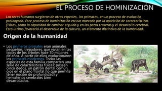 EL PROCESO DE HOMINIZACIÓN
Origen de la humanidad
• Los primeros primates eran animales
pequeños, trepadores, que vivían en las
copas de los árboles hace 70 millones
de años. A partir de ellos evolucionaron
los primates modernos. Todas las
especies de esta familia comparten una
serie de características físicas: poseen
cinco dedos, un patrón dental común,
ojos en el plano frontal (lo que permite
tener noción de profundidad) y
hemisferios cerebrales bien
desarrollados.
Los seres humanos surgieron de otras especies, los primates, en un proceso de evolución
prolongado. Este proceso de hominización estuvo marcado por la aparición de características
físicas, como la capacidad de caminar erguido y en las patas traseras y el desarrollo cerebral.
Esto último favoreció el desarrollo de la cultura, un elemento distintivo de la humanidad.
 