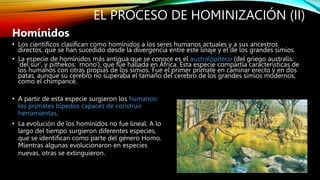 EL PROCESO DE HOMINIZACIÓN (II)
Homínidos
• Los científicos clasifican como homínidos a los seres humanos actuales y a sus ancestros
directos, que se han sucedido desde la divergencia entre este linaje y el de los grandes simios.
• La especie de homínidos más antigua que se conoce es el australopiteco (del griego australis:
'del sur', y pithekos: 'mono'), que fue hallada en África. Esta especie compartía características de
los humanos con otras propias de los simios. Fue el primer primate en caminar erecto y en dos
patas, aunque su cerebro no superaba el tamaño del cerebro de los grandes simios modernos,
como el chimpancé.
• A partir de esta especie surgieron los humanos:
los primates bípedos capaces de construir
herramientas.
• La evolución de los homínidos no fue lineal. A lo
largo del tiempo surgieron diferentes especies,
que se identifican como parte del género Homo.
Mientras algunas evolucionaron en especies
nuevas, otras se extinguieron.
 