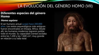 La prehistoria 97-2003 (4).ppt