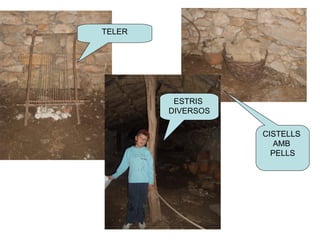 TELER CISTELLS  AMB  PELLS ESTRIS  DIVERSOS 