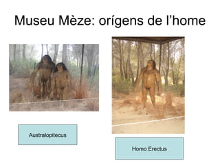 Museu Mèze: orígens de l’home Australopitecus Homo Erectus 