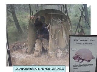 CABANA HOMO SAPIENS AMB CARCASSA 